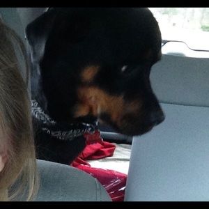 Meet your Posher, Brandie